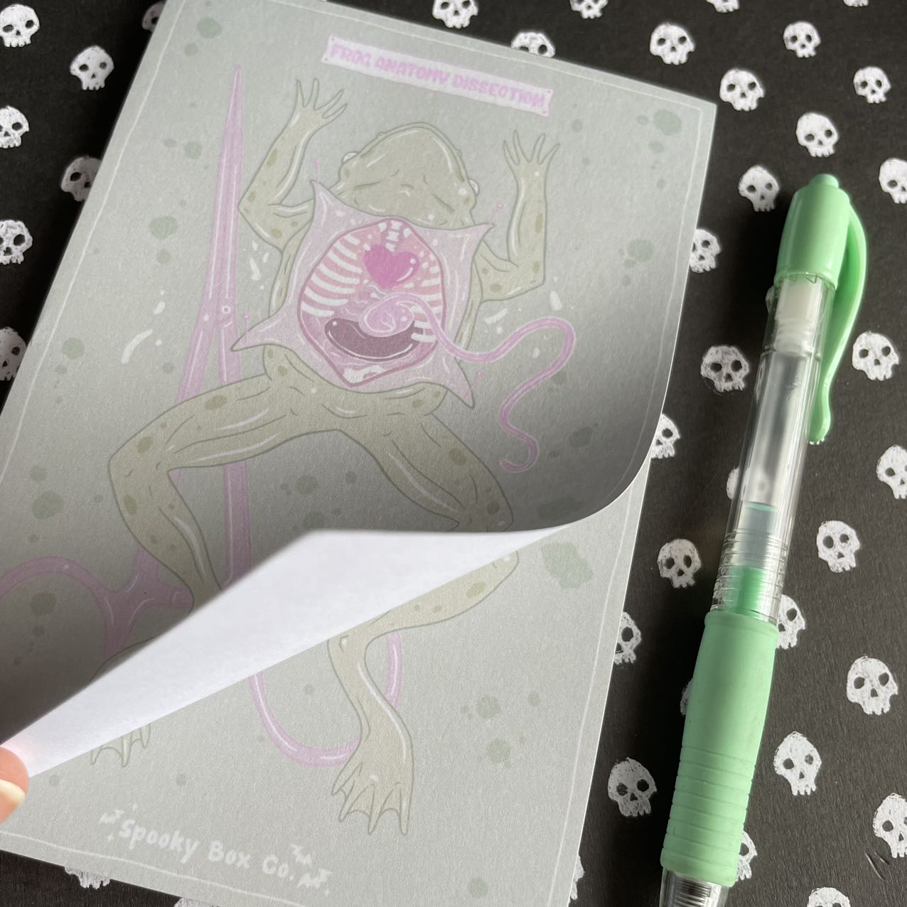 Pastel Frog Dissection Memo Pad