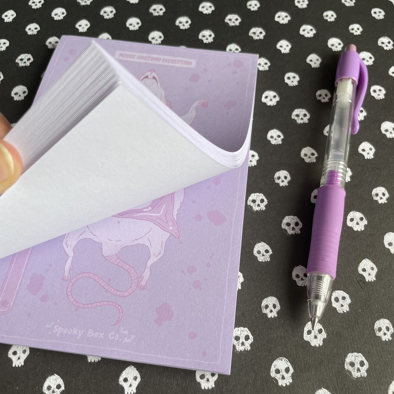 Pastel Mouse Dissection Memo Pad