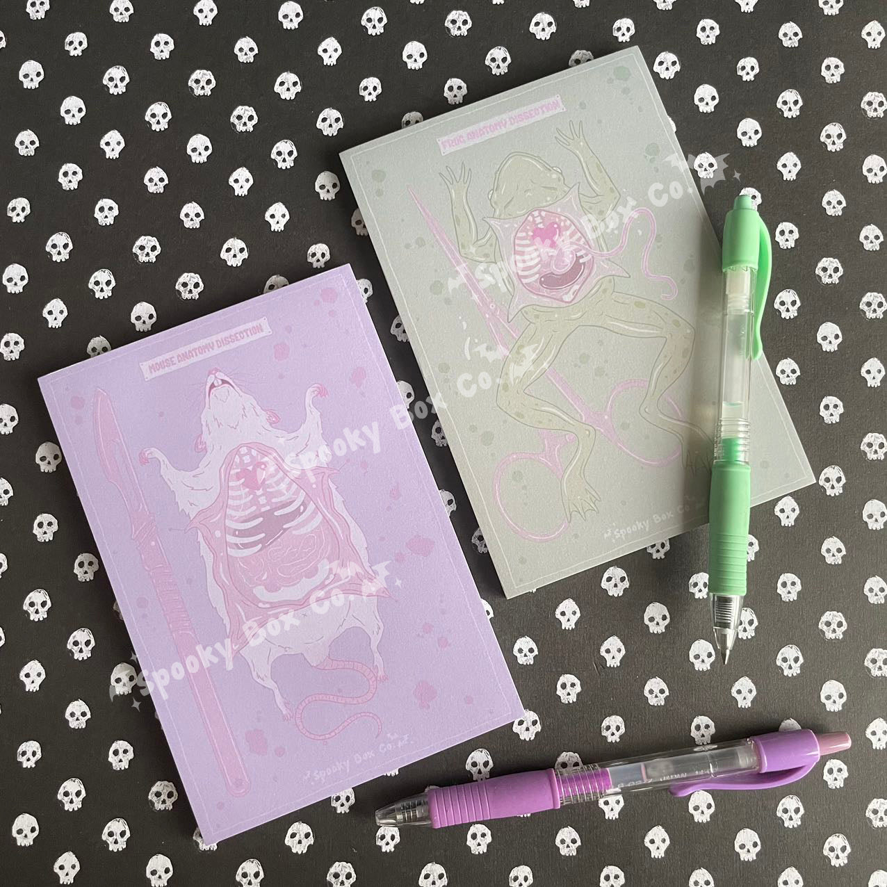 Pastel Frog Dissection Memo Pad