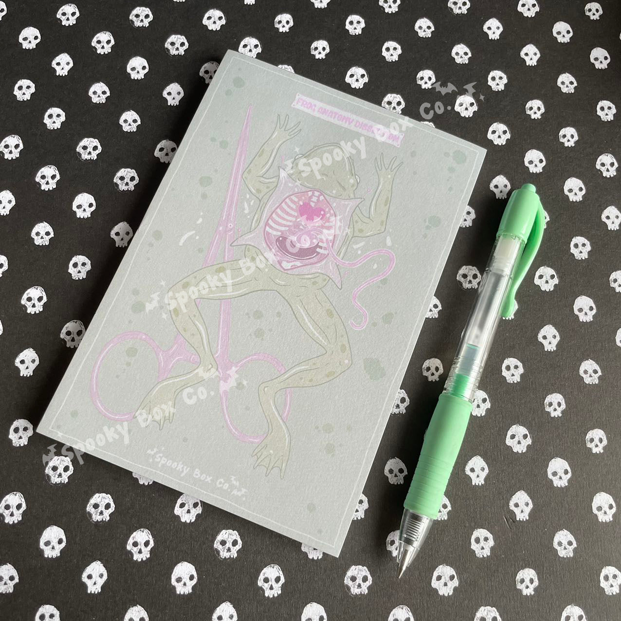 Pastel Frog Dissection Memo Pad