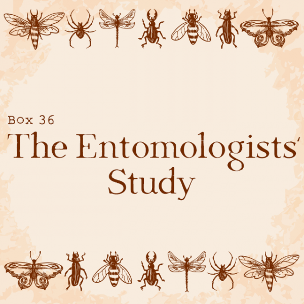 Entomologists Study - Single Purchase - Box 36